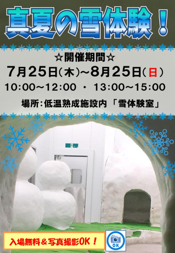 2024真夏の雪体験！ポスター_page-0001 (1).jpg