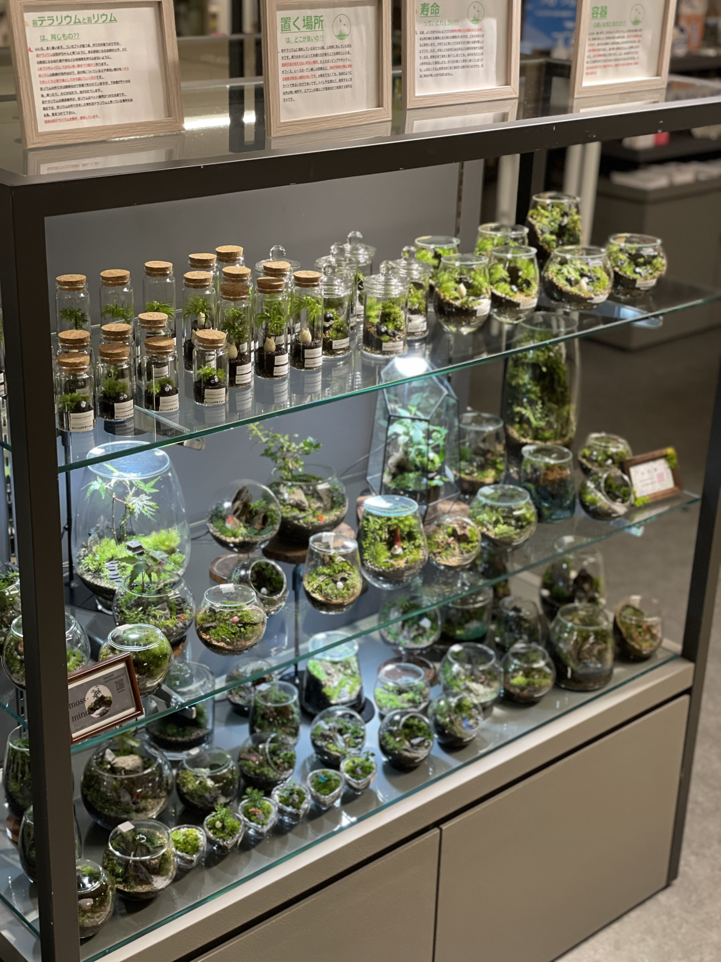 10/28〜11/3までそごう広島店へポップアップ出展させていただきました。