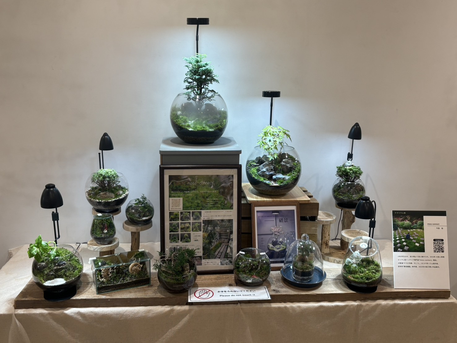 11/5〜30まで東京夢の島熱帯植物園の「テラリウム展」に出展させていただきました。