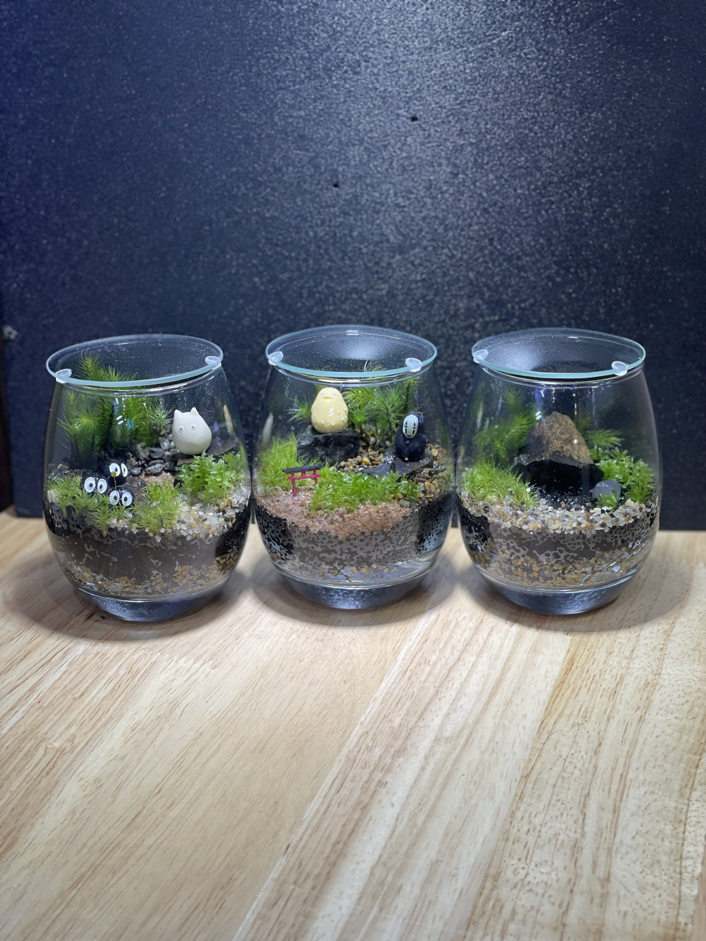 7月の店内苔テラリウム教室ご予約を開始しました。