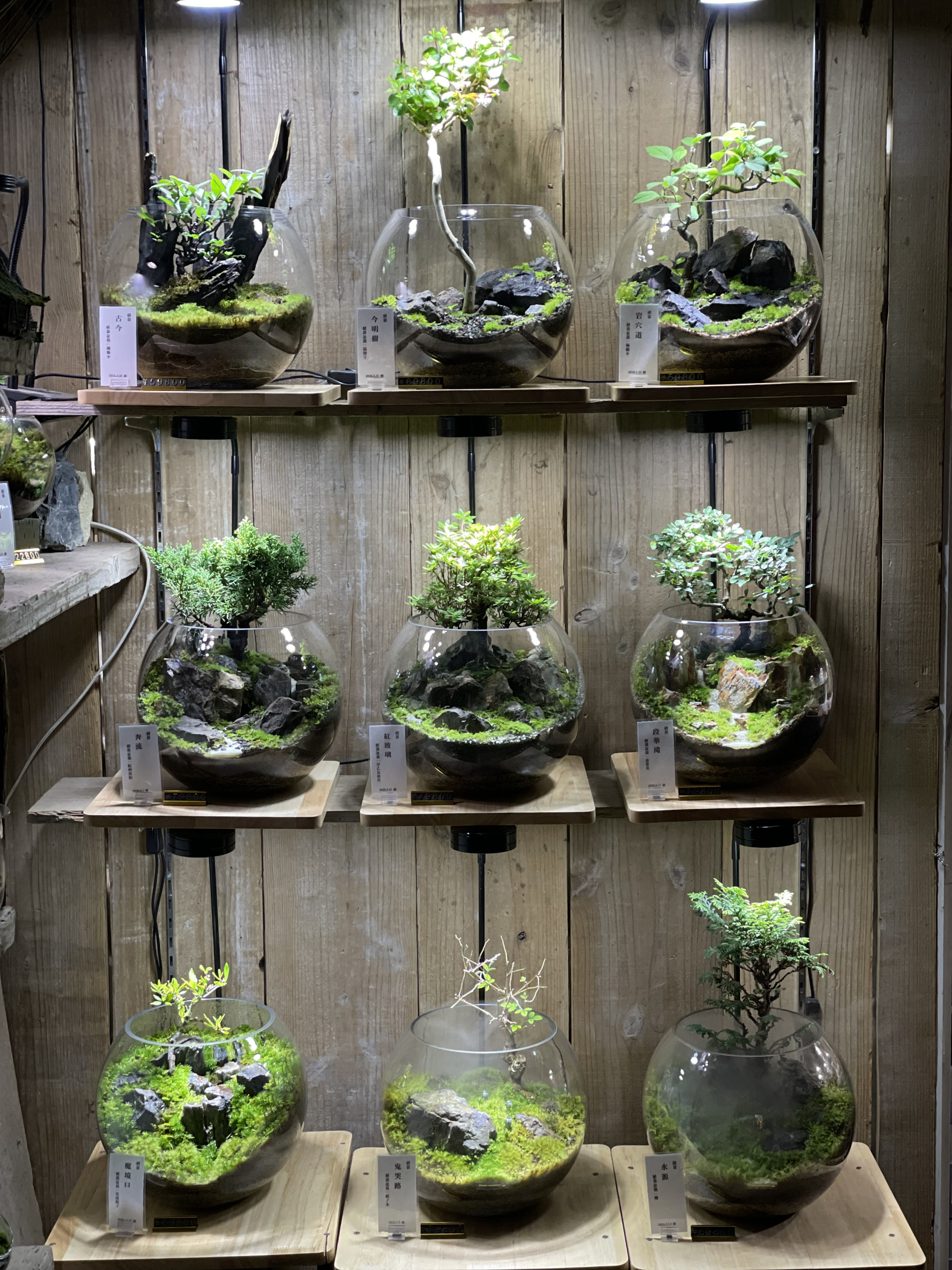 硝景作品