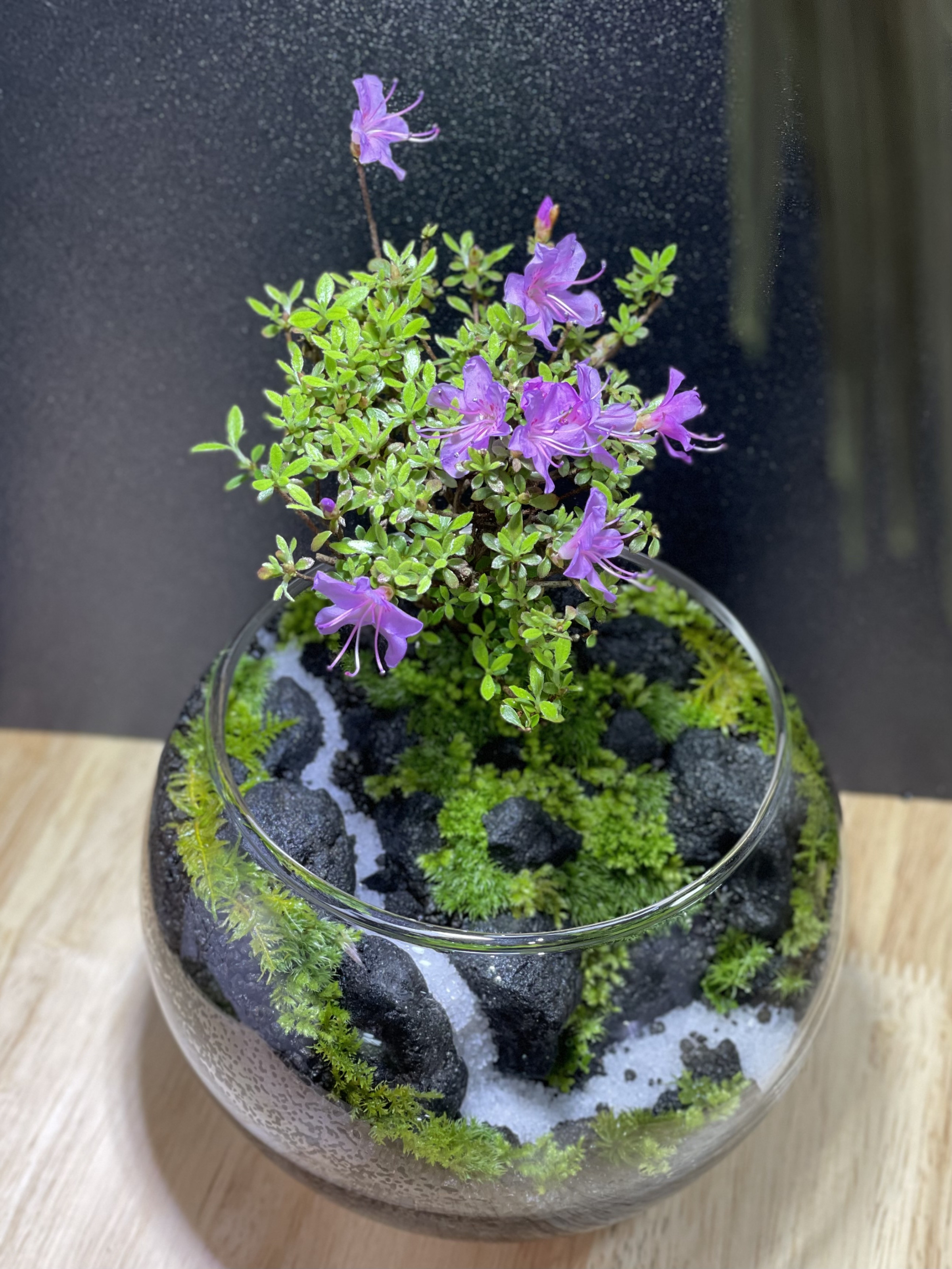 米ツツジを植栽したオーダー品