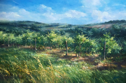 トスカーナの葡萄畑