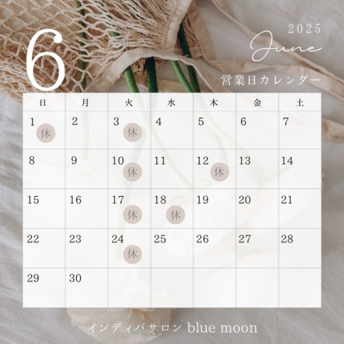 ●●６月の店休日●●