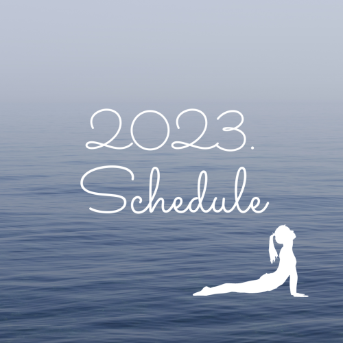 ２０２３年１１月レッスンのご案内