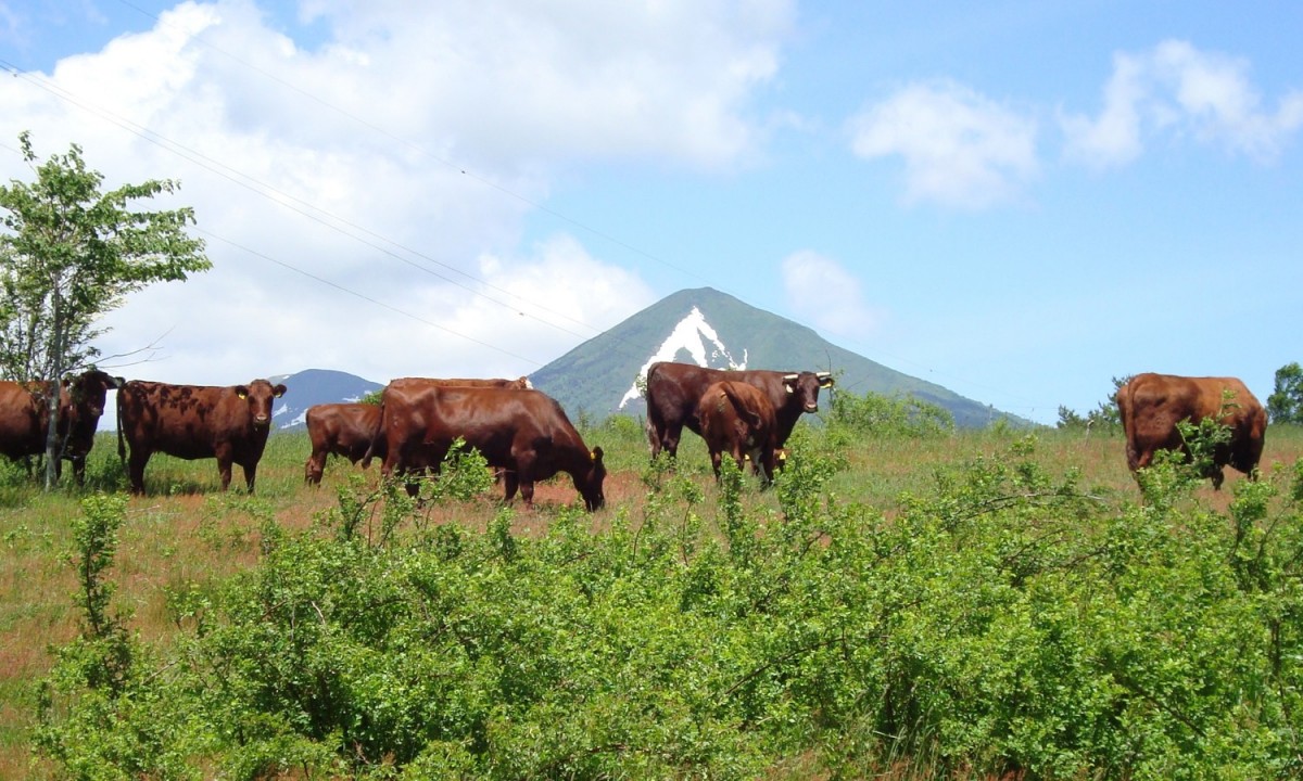 「漆畑畜産」&amp;「焼肉牛楽館」公式HP