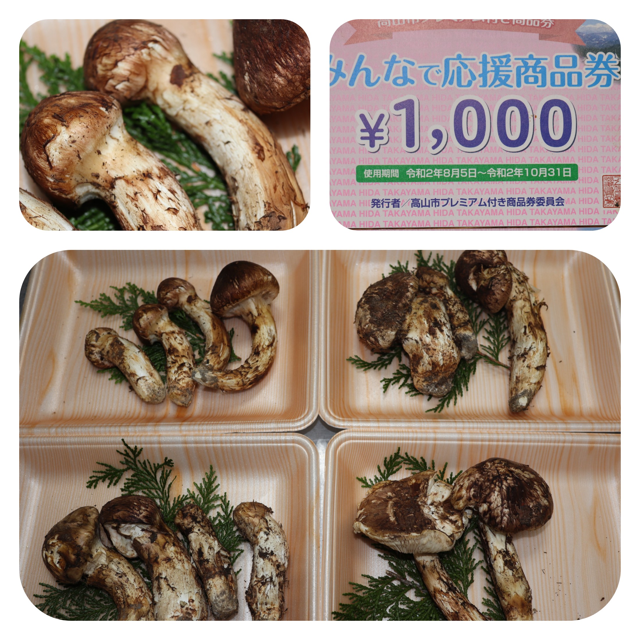 地元産の松茸