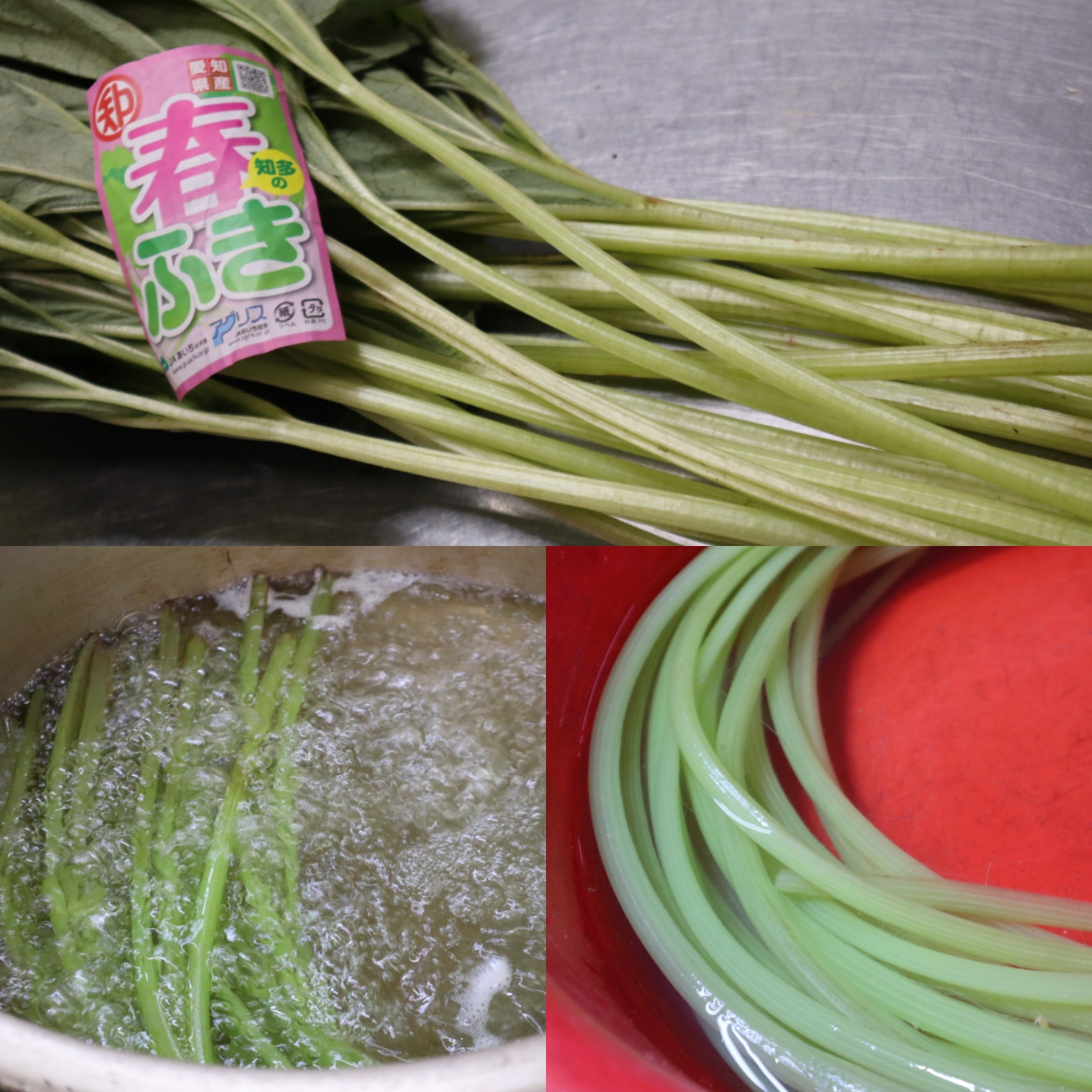 春の食材フキが入荷しています