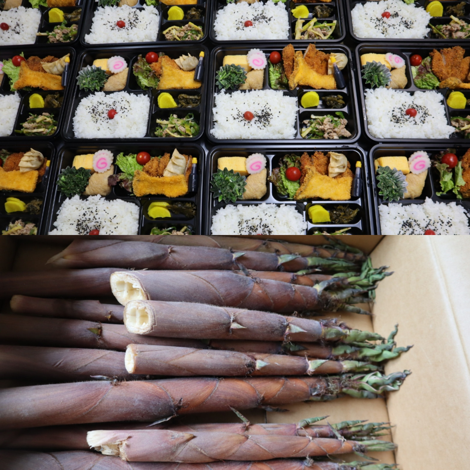 ハチクで青椒肉絲入り弁当