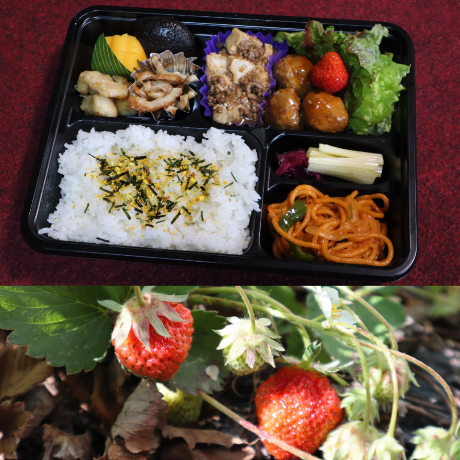 自家栽培のイチゴ入り弁当