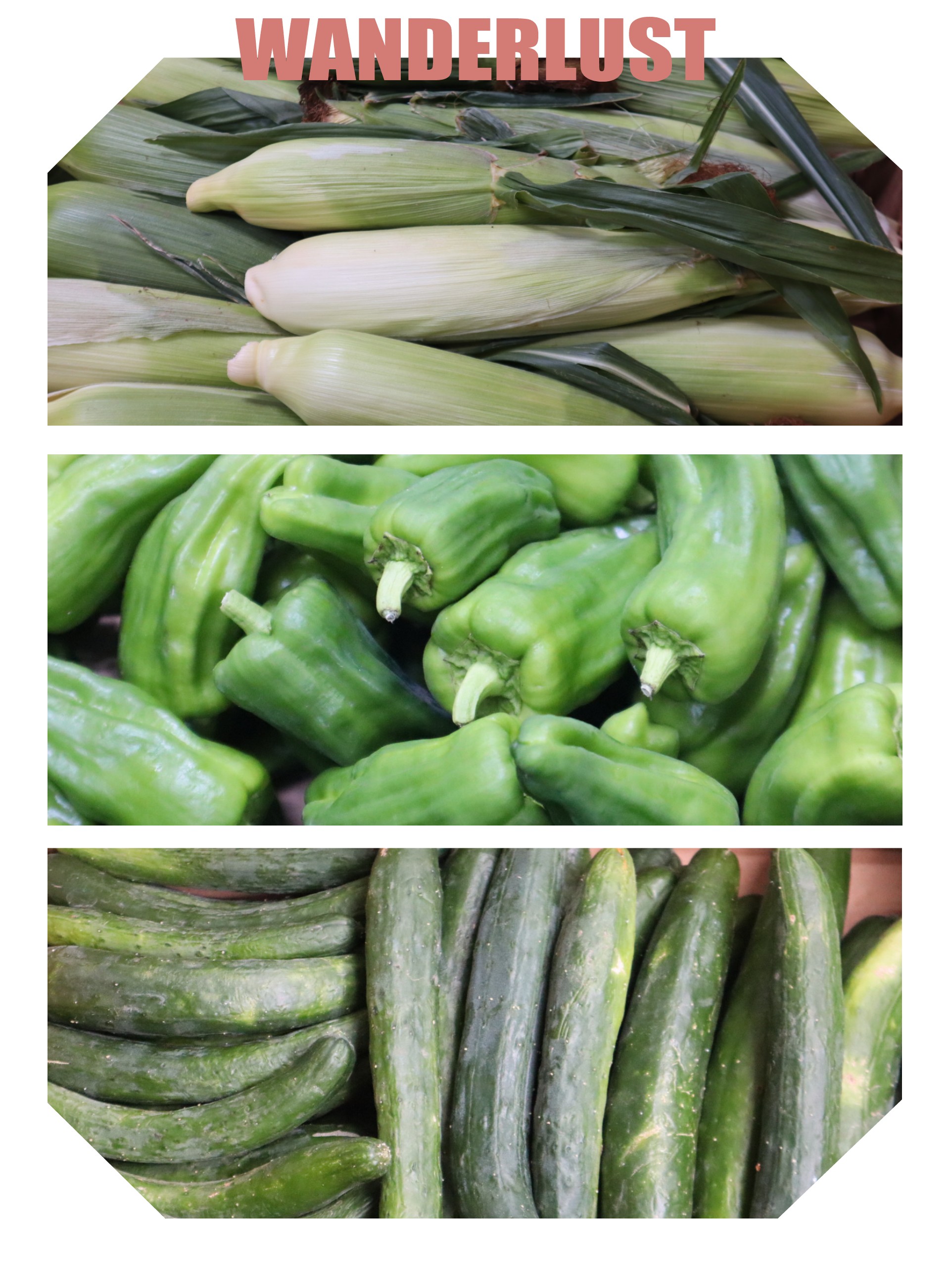 地元産の夏野菜が大量入荷です