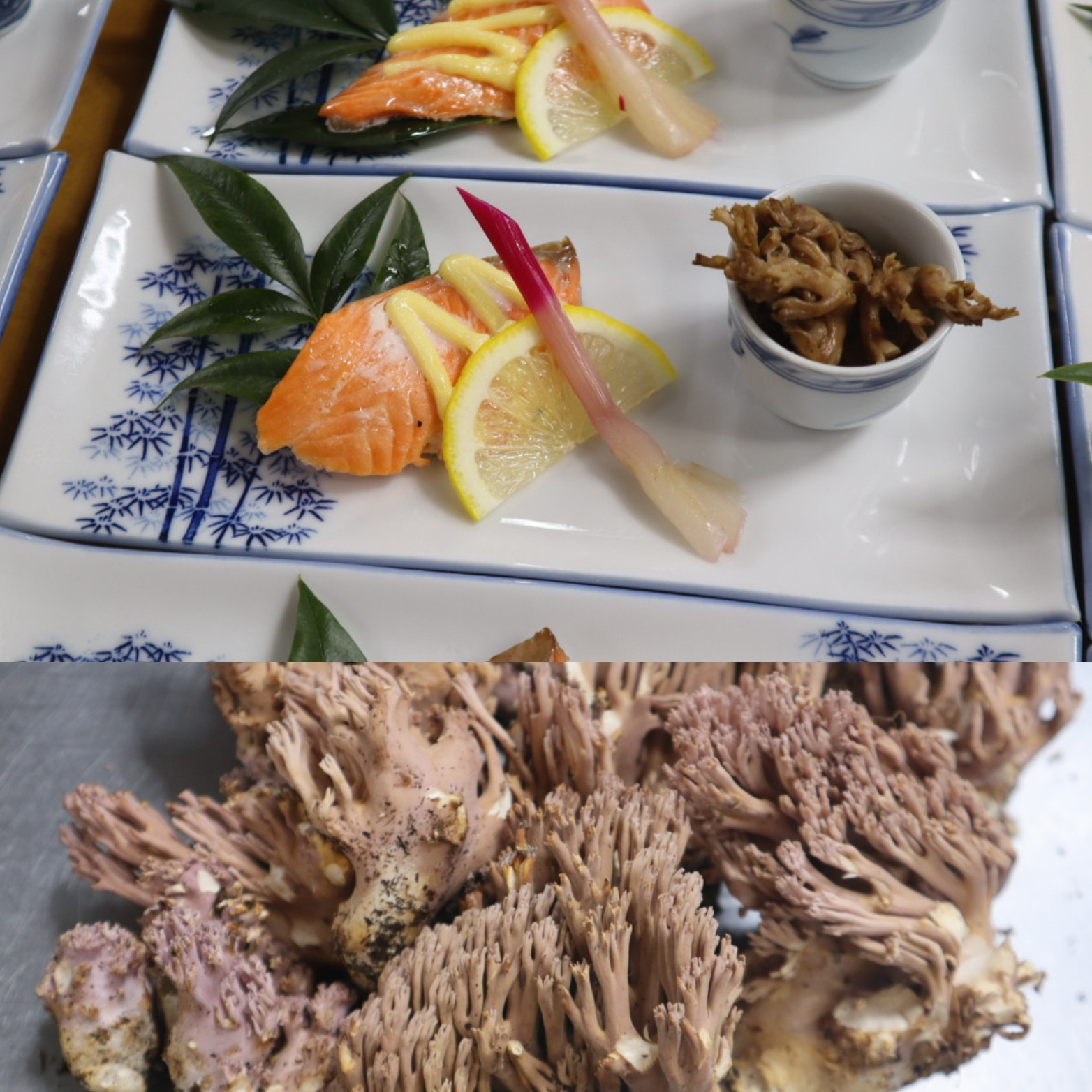 付け合わせは天然キノコ、モトブトです