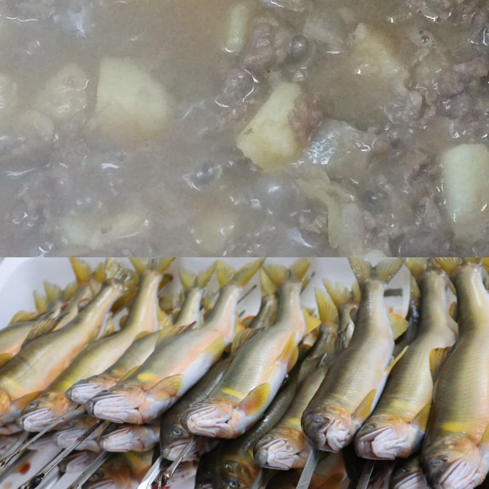 飛騨牛の肉じゃが、天然鮎の塩焼きです