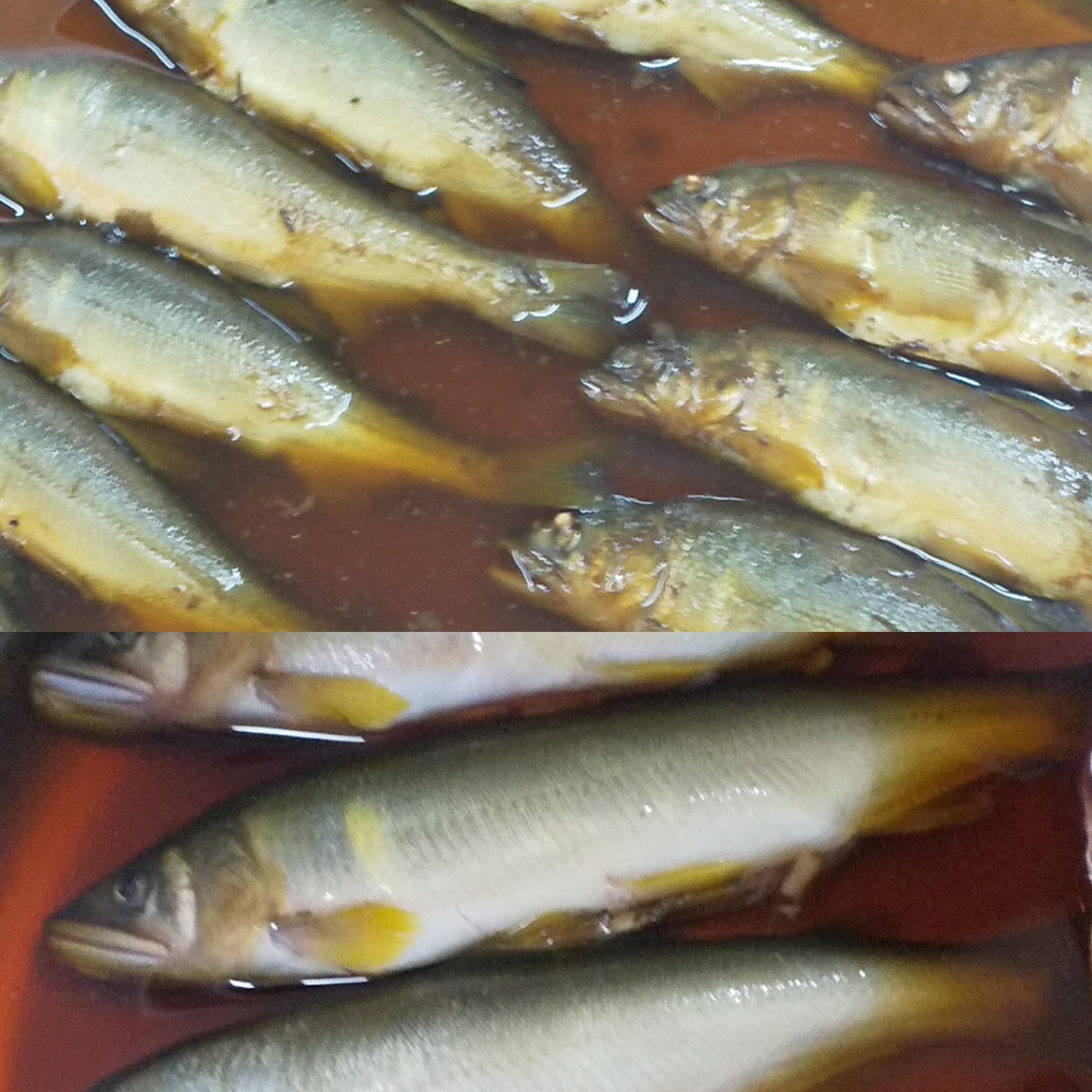 自家製、天然鮎の甘露煮