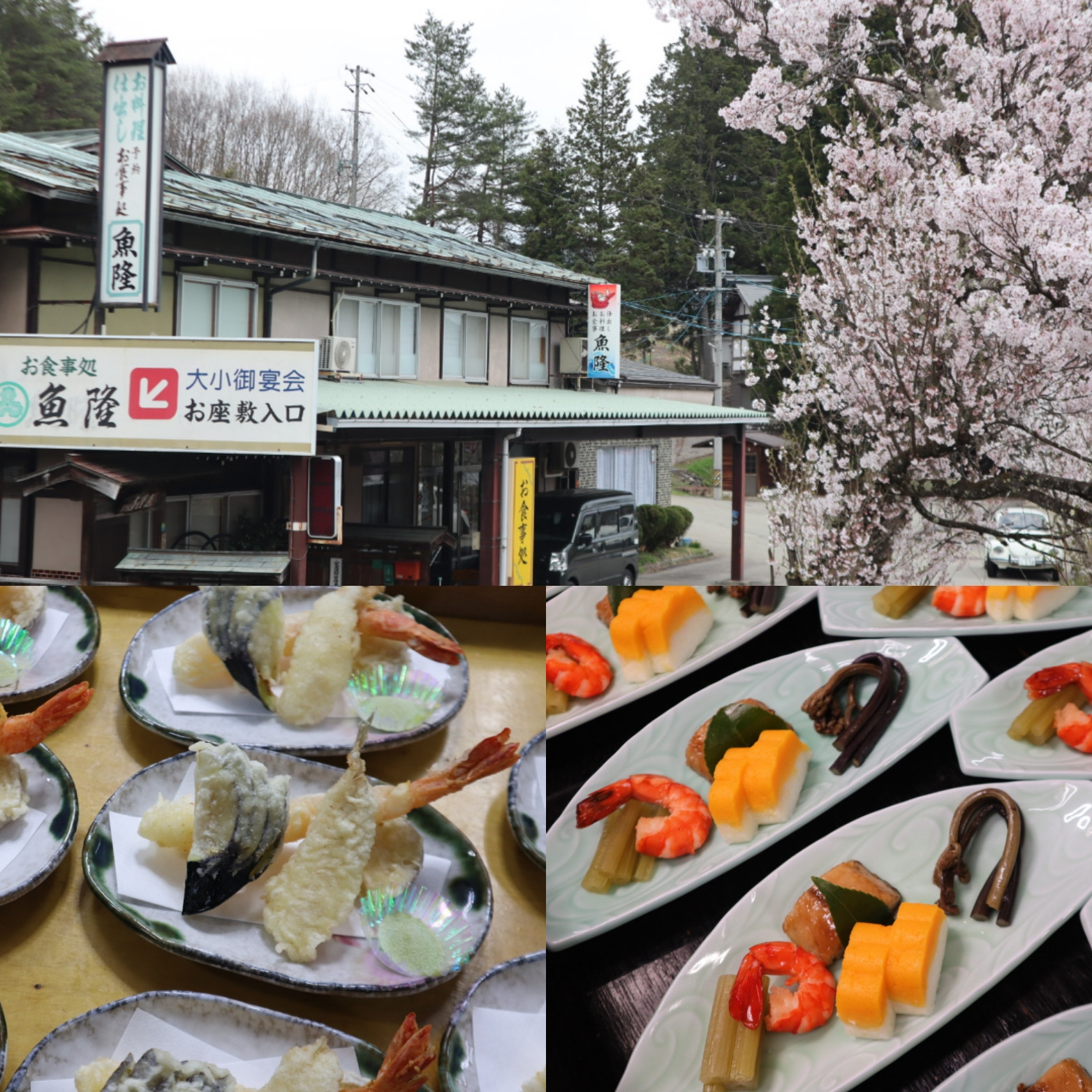 桜が満開です