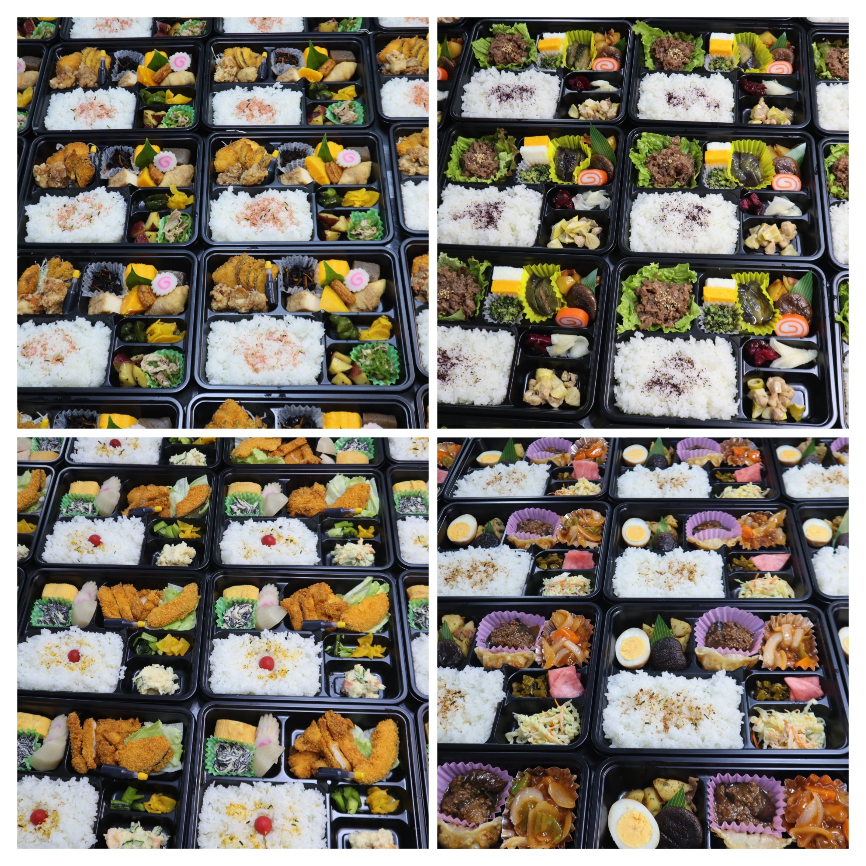 連日のお弁当ありがとうございました