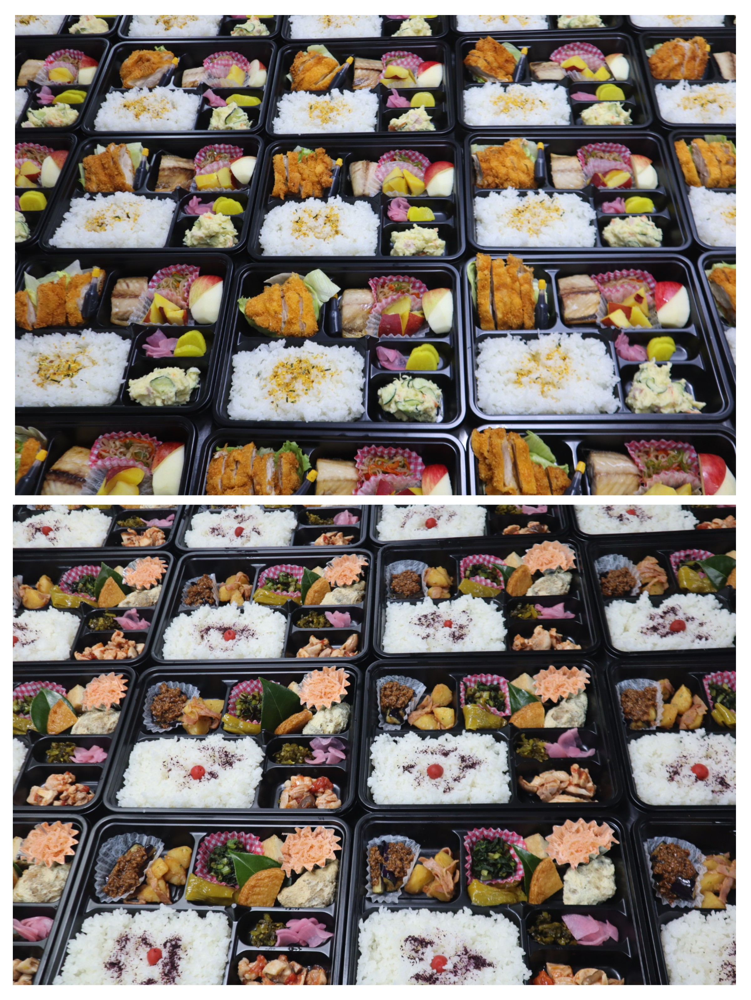 連日のお弁当ありがとうございます