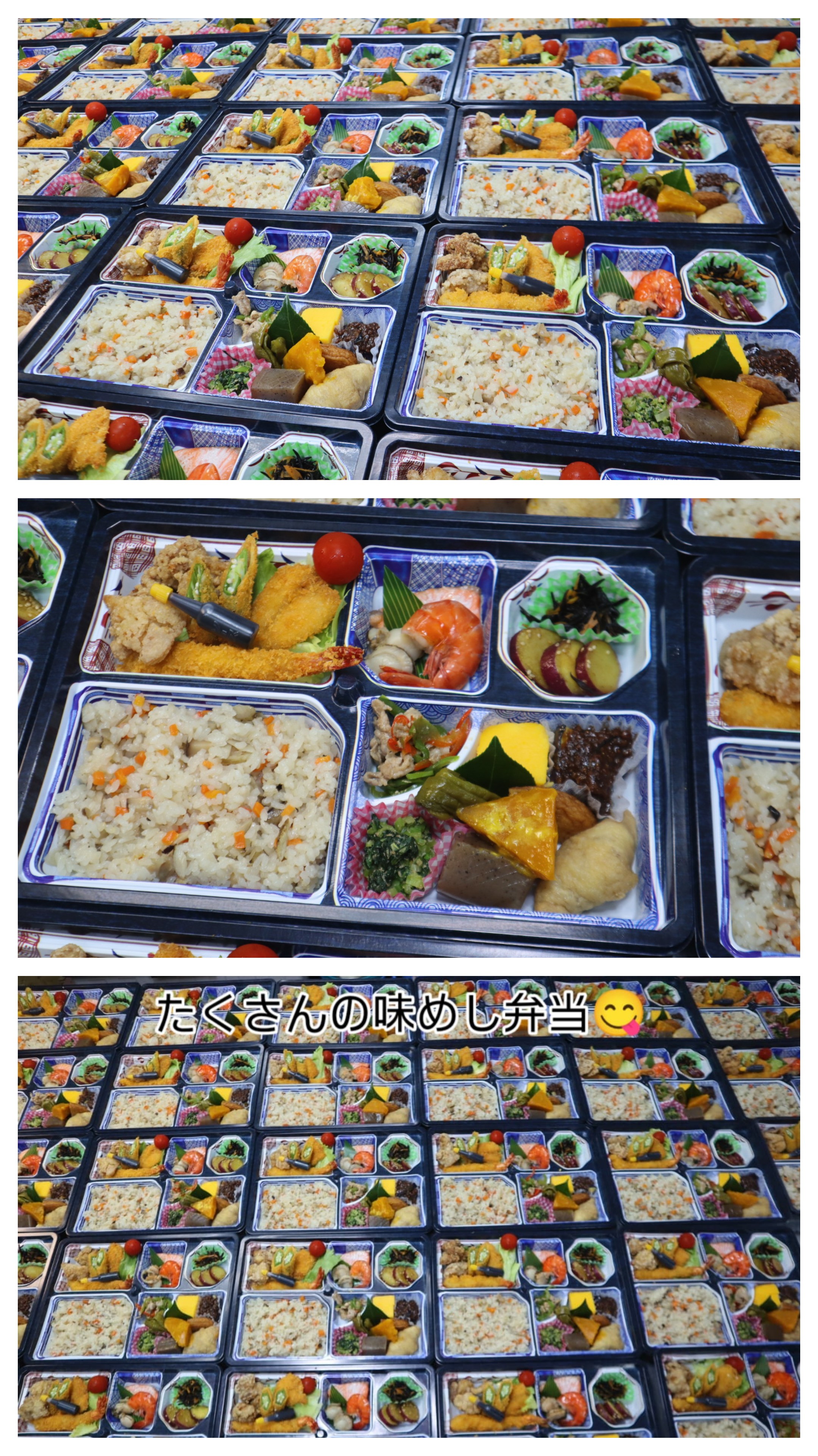 たくさんの味めし弁当