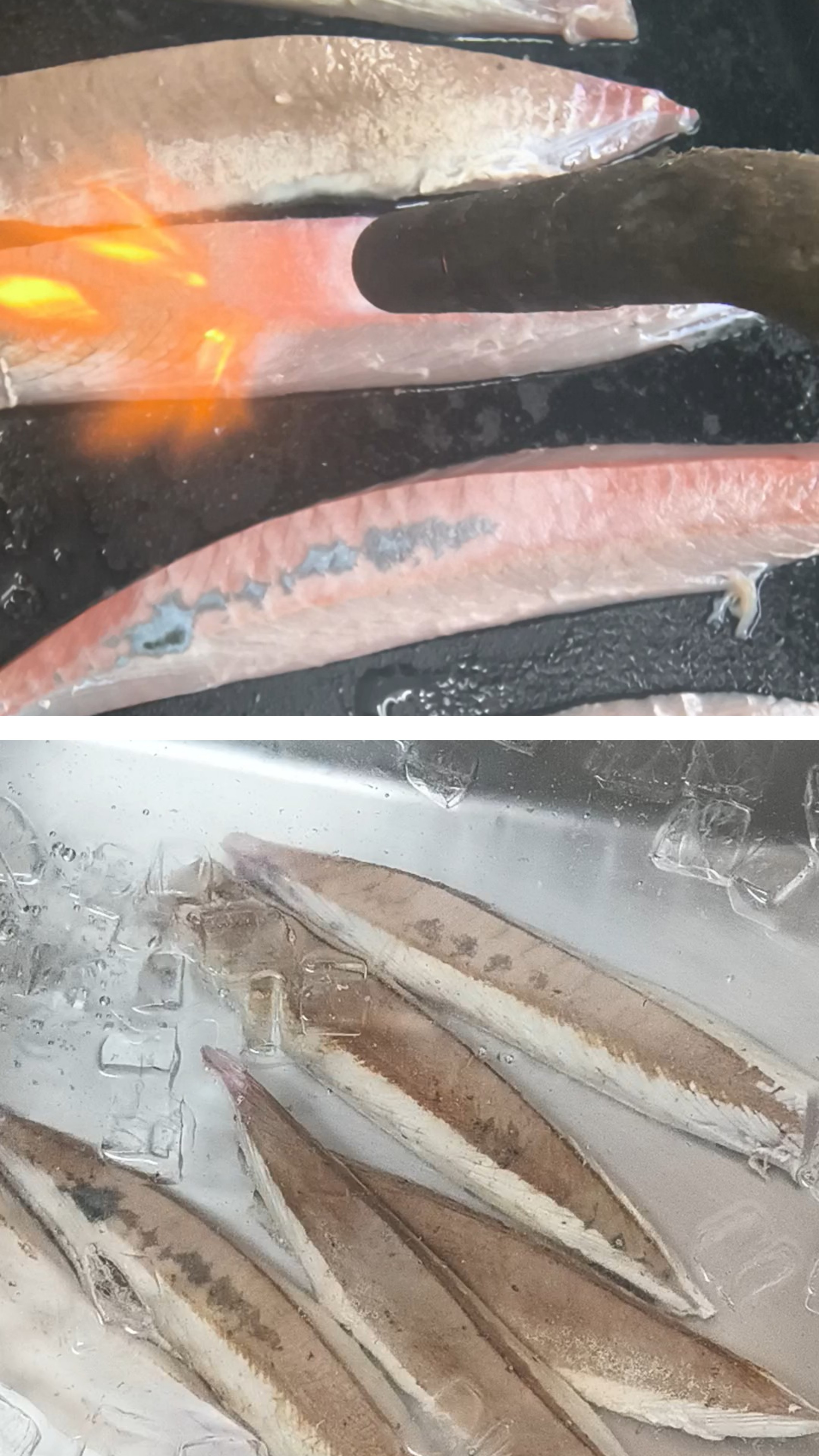 ツバス炙ってます