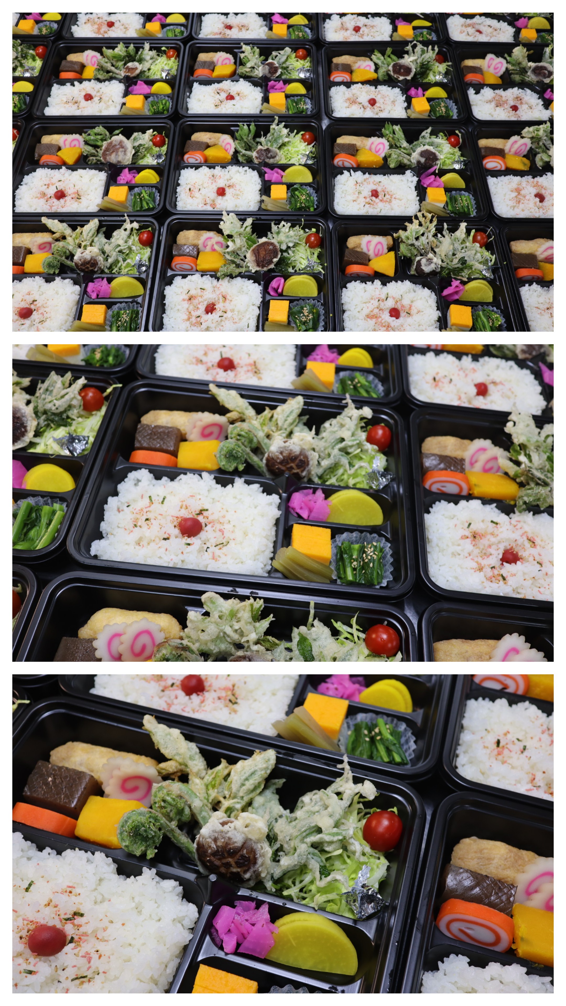 地元産食材いっぱい弁当