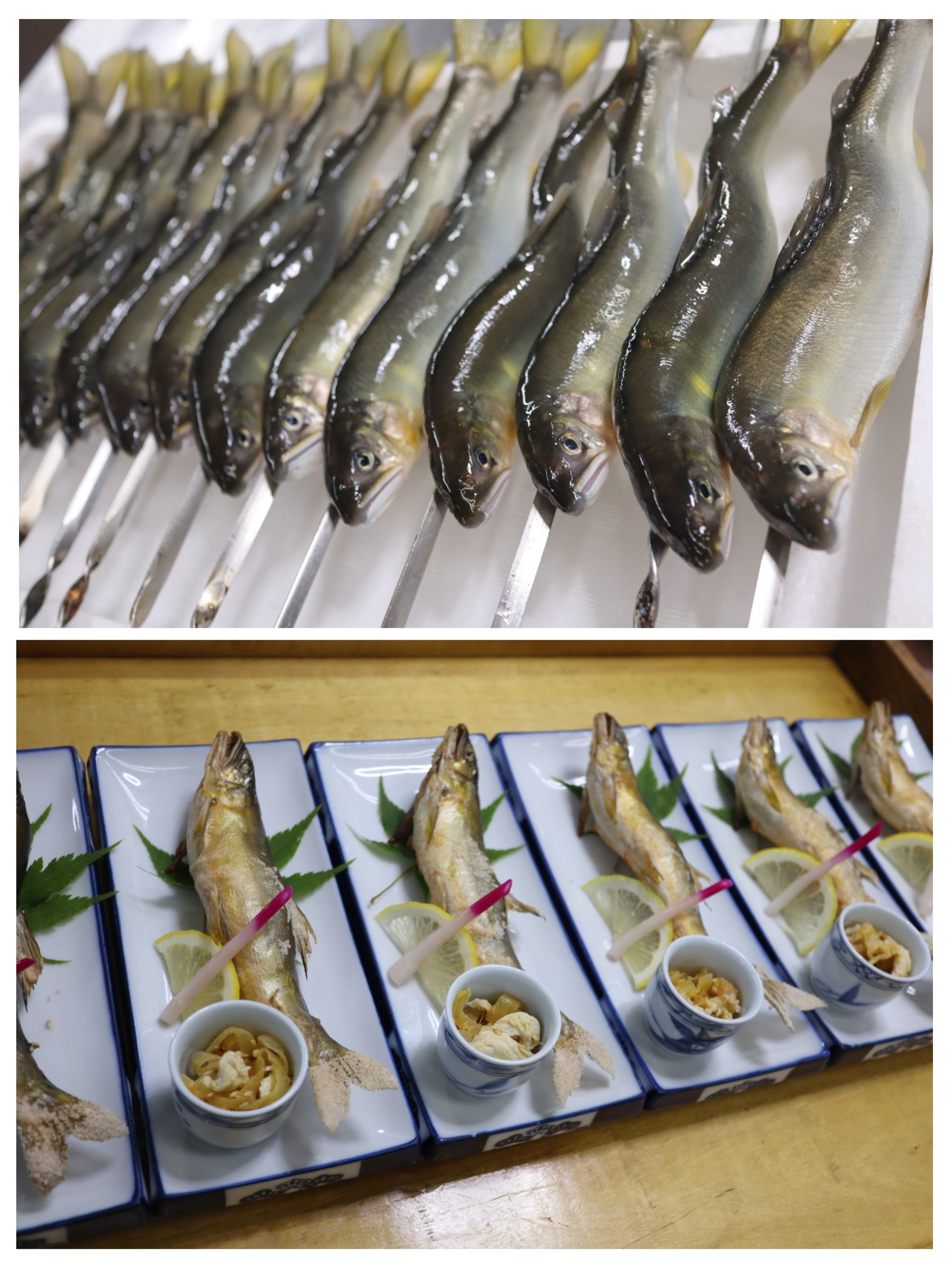 鮎の時期になってきました