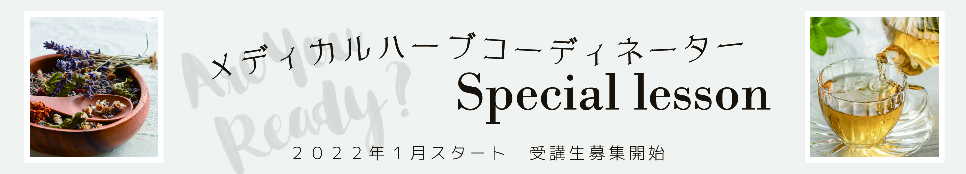 22年本格的に学ぶ試験対策講座 ハーブティーの通販専門店 大多喜ハーブガーデン 22年本格的に学ぶ試験対策講座 ハーブティーの通販専門店 大多喜ハーブガーデン