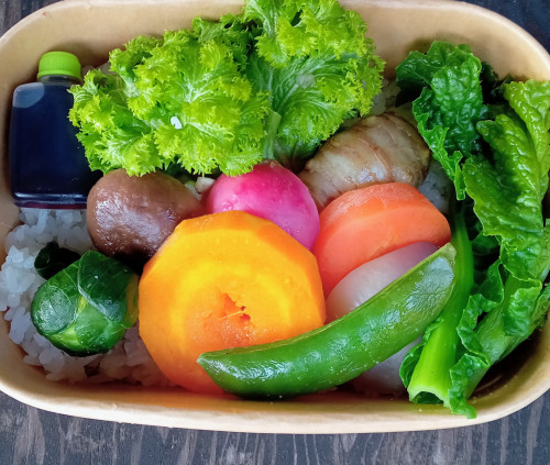 朝採り野菜お弁当