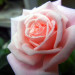 201119.jpg