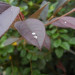 201216.jpg