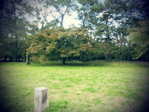 201023.jpg