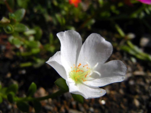 200905.jpg