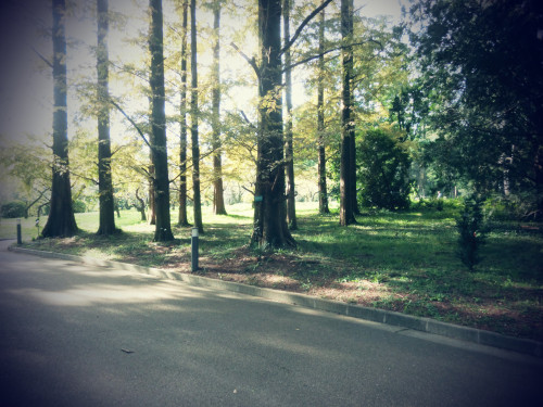 201108.jpg