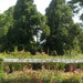 200606.jpg
