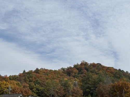 stollen2025販売開始について