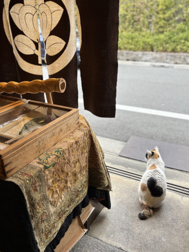 春のお花見ボックスご予約受付中。