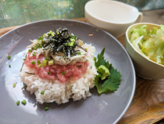 SP_ねぎとろしらす丼_グレー.jpg