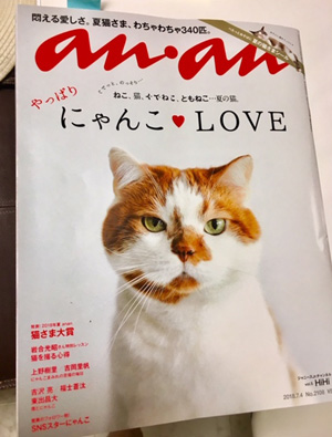 ファミリー（犬・猫）の上質本革首輪作り体験 - 「マユミ工房」柏原の