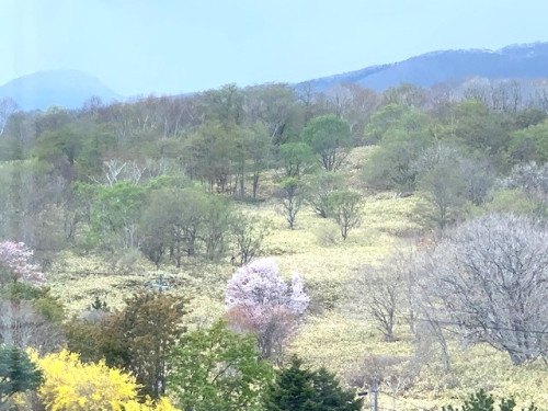 IMG_6821調整.jpg