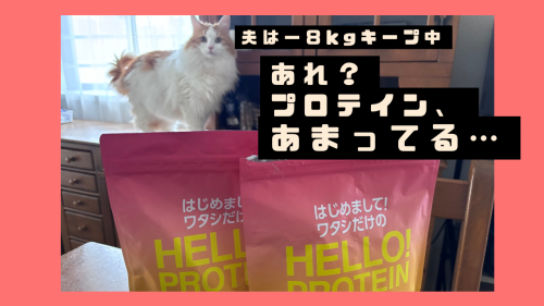 ピンク　ポップ　旅行　Vlog　YouTubeサムネイル.png