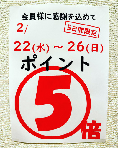 ポイント５倍デー開催中です！