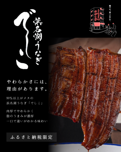 静岡市ふるさと納税返礼品