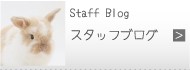 top_banner01.png