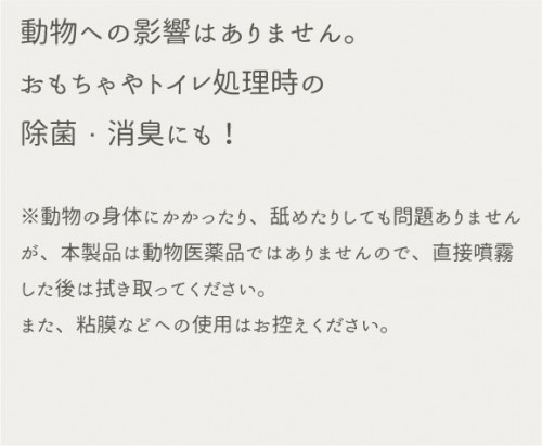 a2_02_03.jpg