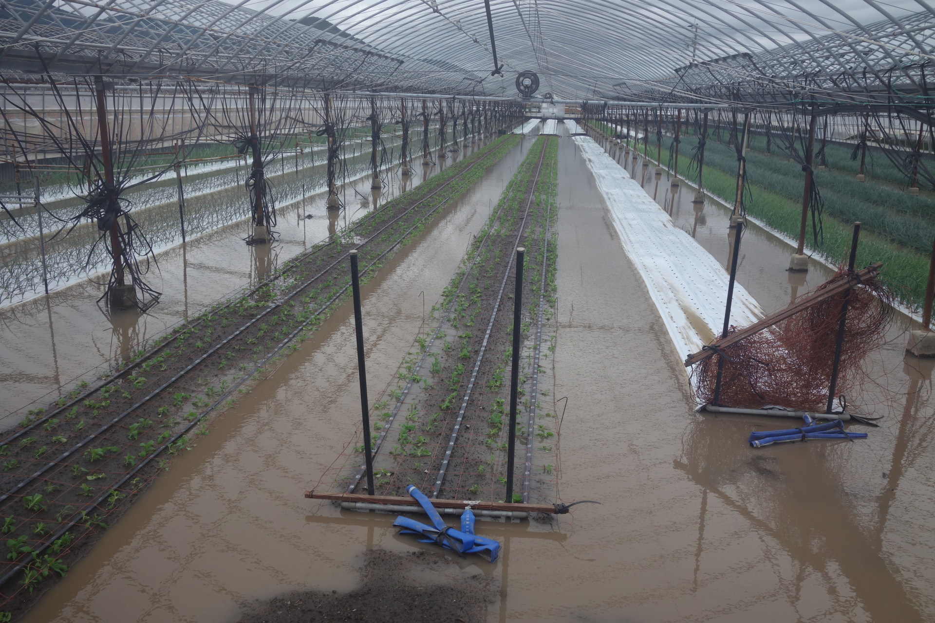 大雨による冠水被害①