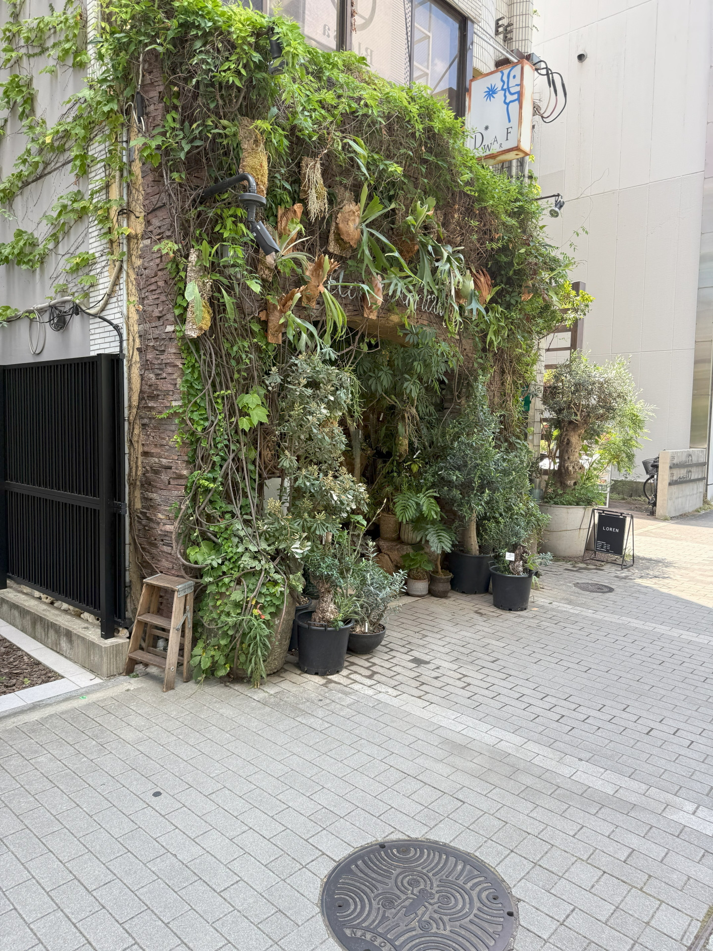 名古屋の花屋さん