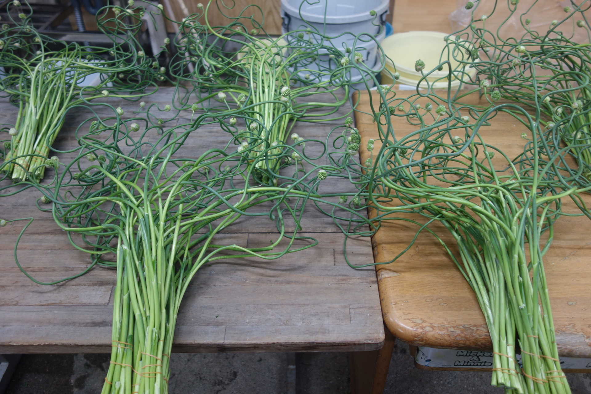 スネークボールの曲げ