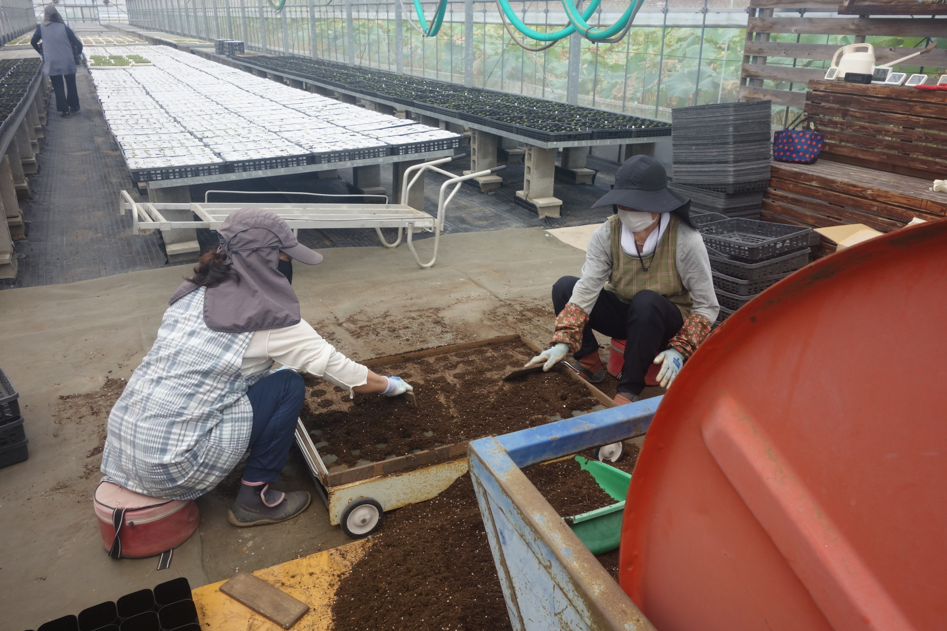 暑い中での作業の連続