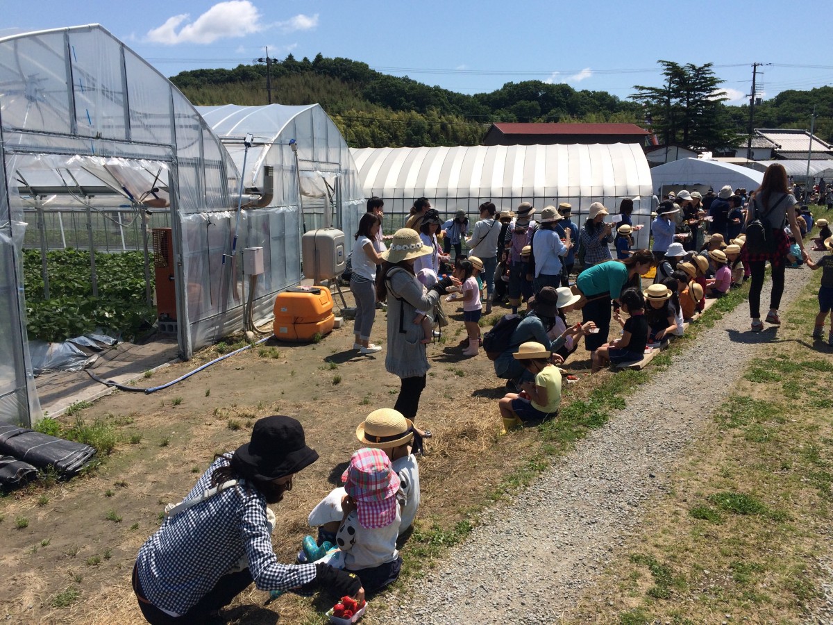 幼稚園・保育所・自治会・会社の組合様など、貸し切りで入園できます