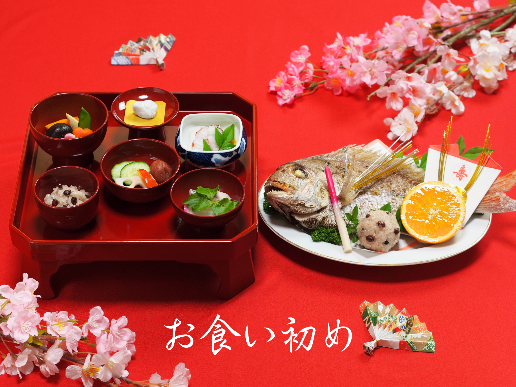 【人気No.1！】石神井公園へお食い初めの仕出し配達