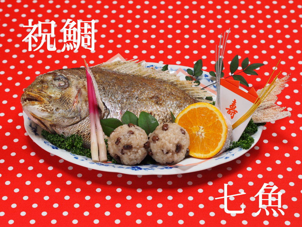 祝鯛